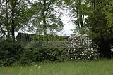 tannenfeld-sommer 2012-073